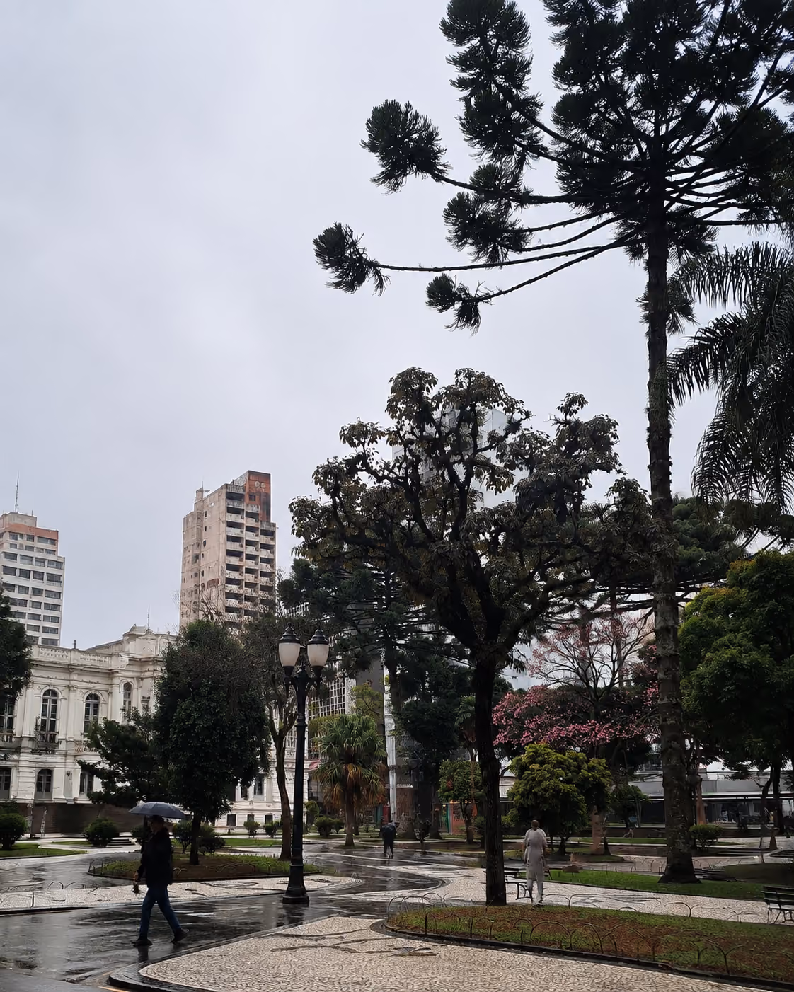 Praça Santos Andrade em um dia de chuva, com araucárias e edifícios ao redor